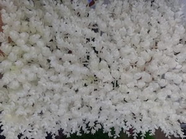 تصویر 2 از قیمت گرین وال سفید + خرید باور نکردنی